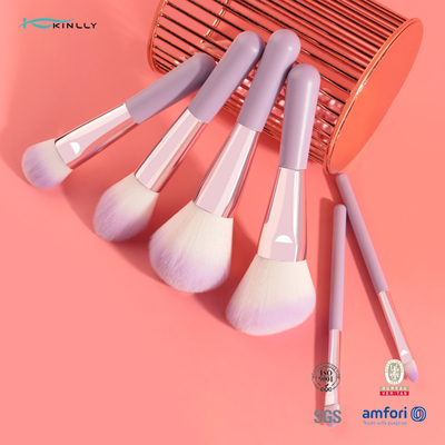 6PCS Mini Gift Makeup Brush Set Cosmetic Brush Set With Two Colors Synthetic Hair
