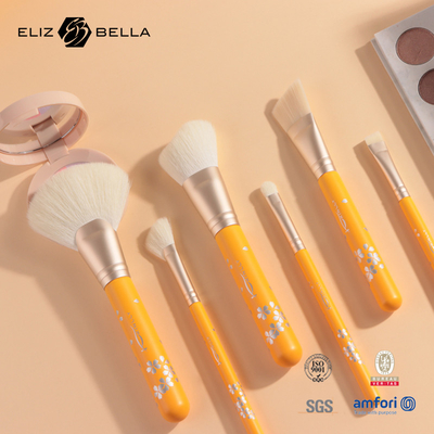 ISO9001 Makeup Tools Kit Travel Makeup Brush Set 10PCS Eco Friendly Paint