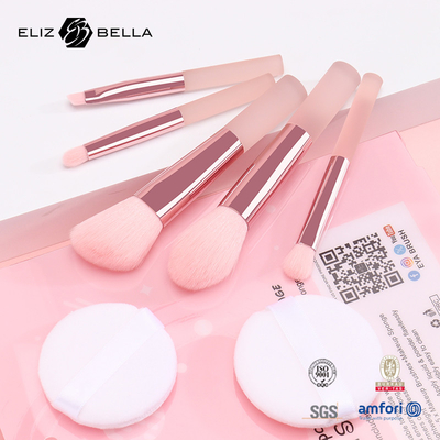 5pcs Cute Travel Makeup Brush Kits With Clear Printing PVC Packaging Box OEM
