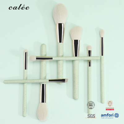 8pcs Plastic Handle Travel Makeup Brush Set Synthetic Hair And Aluminium Ferrule With PVC Package Box