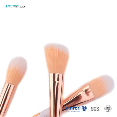 Small 6pcs Plastic Makeup Brushes With PVC Packing Box