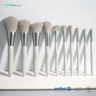 OEM 10PCS Nano Luxury Makeup Brush Set For Face