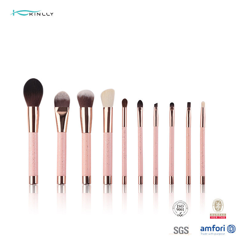 Plastic Handle 10pcs Makeup Brushes Travel Kit Cosmetics Beauty Tools