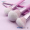 Purple Travel 9pcs Plastic Makeup Brushes With PU Pouch