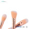 6 PCS Synthetic Hair Aluminum Ferrule Travel Makeup Brush Set