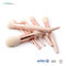 8 pieces Travel Size Synthetic Makeup Brushes With Rose Gold Ferrule