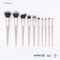 11 Pieces Plastic Makeup Brushes Set With Three Colors Hair Tips