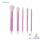 OEM ODM 5pce Makeup Brush Travel Set With Purple Short Plastic Handle